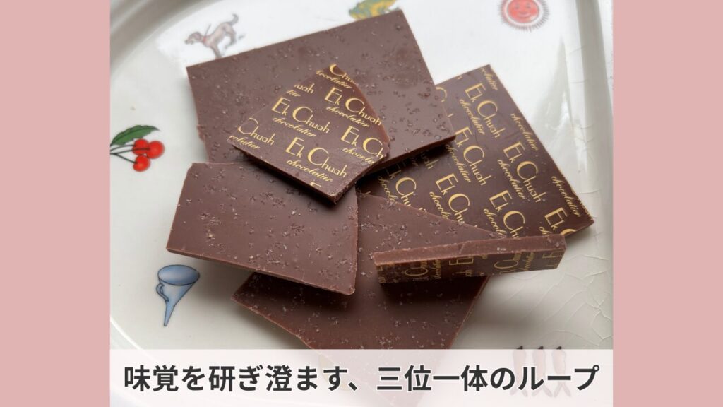 「味覚を研ぎ澄ます、三位一体のループ」という文字が入った、エクチュアの塩チョコレートの実食写真。ロゴがプリントされたビターチョコの表面に大粒の塩が輝いている様子。